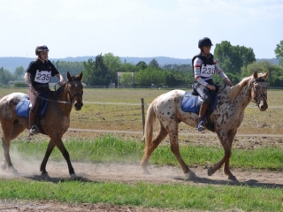 ezzio et eagle