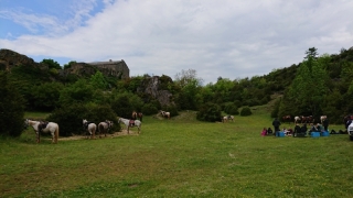 randonnee cheval cevennes 2018 (10)