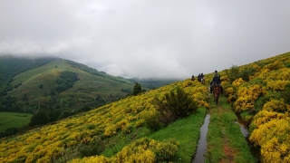 randonnee cheval cevennes 2018 (20)