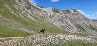 1_randonnee-cheval-cavalquinta-2020-alpes-10