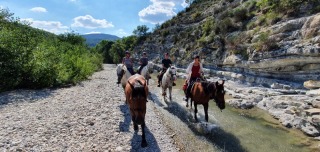 randonnee-cheval-cavalquinta-2020-alpes-1