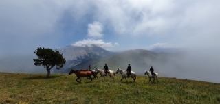 randonnee-cheval-cavalquinta-2020-alpes-10