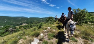 randonnee-cheval-cavalquinta-2020-alpes-12