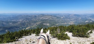 randonnee-cheval-cavalquinta-2020-alpes-18