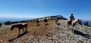 randonnee-cheval-cavalquinta-2020-alpes-19