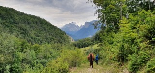 randonnee-cheval-cavalquinta-2020-alpes-5