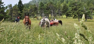 randonnee-cheval-cavalquinta-2020-alpes-6