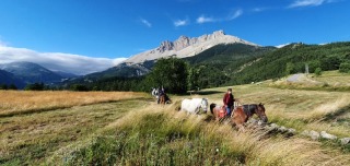 randonnee-cheval-cavalquinta-2020-alpes-8