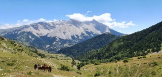 randonnee-cheval-cavalquinta-2020-alpes-9