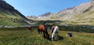 randonnee-cheval-cavalquinta-2020-alpes_41