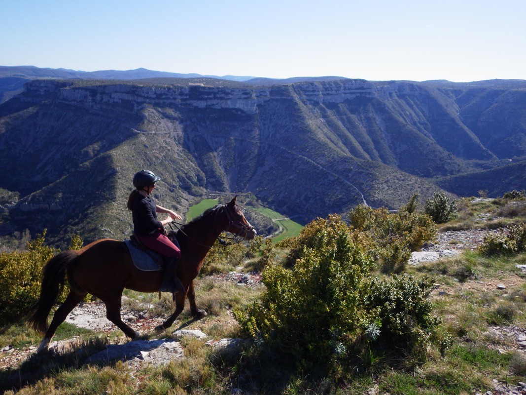 balade à cheval vue sur le cique de navacelles