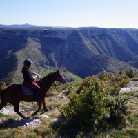 rando cheval cevennes