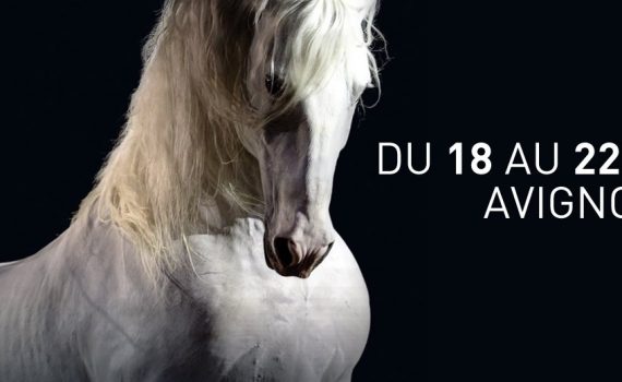 salon du cheval d'avignon