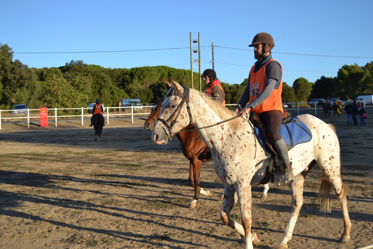 promenade chevaux uzes