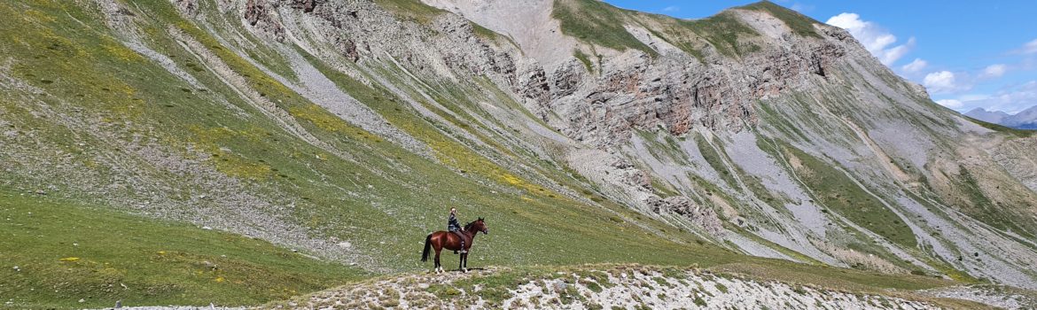 randonnée-cheval-cavalquinta-2020-alpes (10)