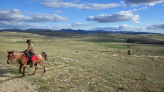 rando cheval 160km Florac
