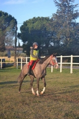 uzes altair 2