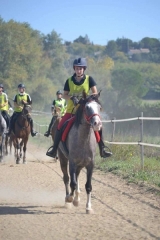 uzes altair 3