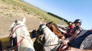 rando_cheval_cavalquinta_2019_auvergne_161