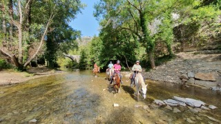 rando_cheval_cavalquinta_2019_cirque_canigou_131