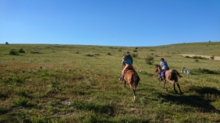 randonnee cheval cevennes auvergne 2018