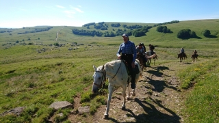 randonnee cheval cevennes auvergne 2018  (1)