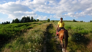 randonnee cheval cevennes auvergne 2018  (10)