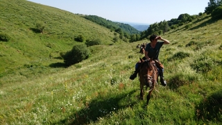 randonnee cheval cevennes auvergne 2018  (11)