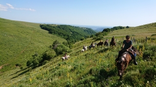 randonnee cheval cevennes auvergne 2018  (13)