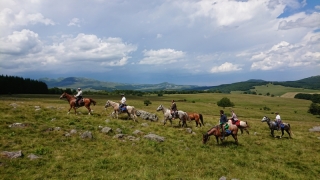 randonnee cheval cevennes auvergne 2018  (19)