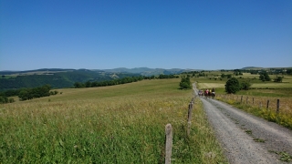 randonnee cheval cevennes auvergne 2018  (26)