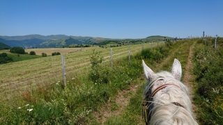 randonnee cheval cevennes auvergne 2018  (27)