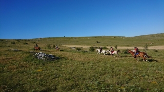 randonnee cheval cevennes auvergne 2018  (3)