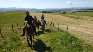 randonnee cheval cevennes auvergne 2018  (30)