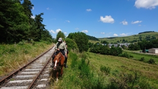 randonnee cheval cevennes auvergne 2018  (4)