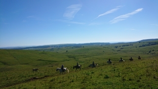 randonnee cheval cevennes auvergne 2018  (6)