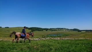 randonnee cheval cevennes auvergne 2018  (7)