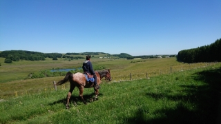 randonnee cheval cevennes auvergne 2018  (8)