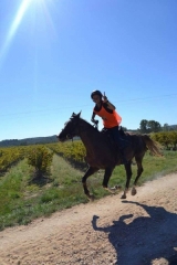 uzes baikal