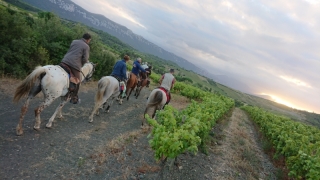 randonnee cheval cevennes canigou 2018  (13)