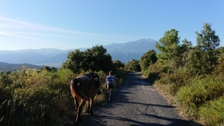 randonnee cheval cevennes canigou 2018  (14)