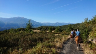 randonnee cheval cevennes canigou 2018  (15)