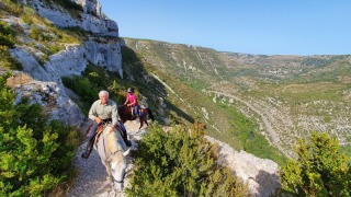 rando_cheval_cavalquinta_2019_cirque_canigou_181