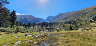 rando_cheval_cavalquinta_2019_cirque_canigou_61