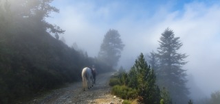 rando_cheval_cavalquinta_2019_cirque_canigou_82