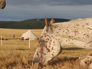 rando_cheval_cavalquinta_2019_auvergne_241