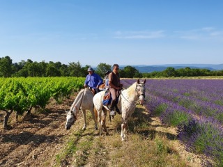 rando_cheval_cavalquinta_2019_ouverture_11