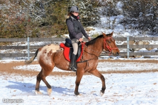 eagle del quinta neige