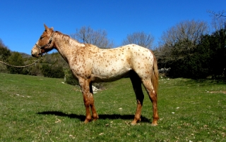 Floyd Del Quinta Mars 2019(1)