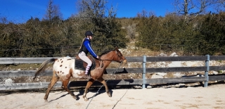 Foxtrot (3)